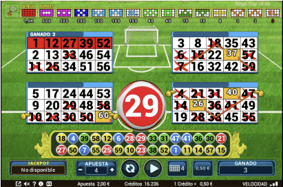 Bingo Cup-gallery-0