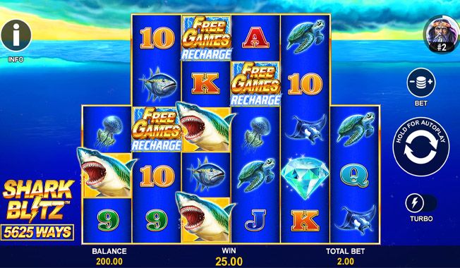 Shark Blitz-gallery-1